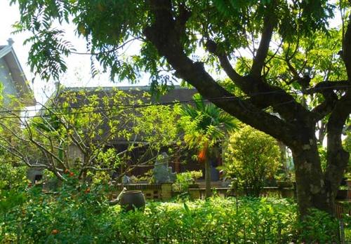 resort tu suong