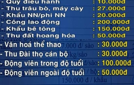 nop tien thue duong cho bo